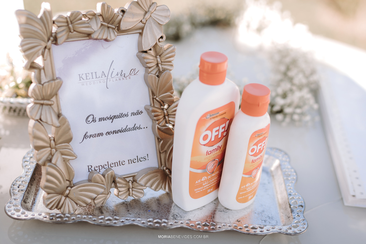 Fotografia de Casamento - Sítio Encanto das Águas - São Domingos Do Prata/Minas Gerais