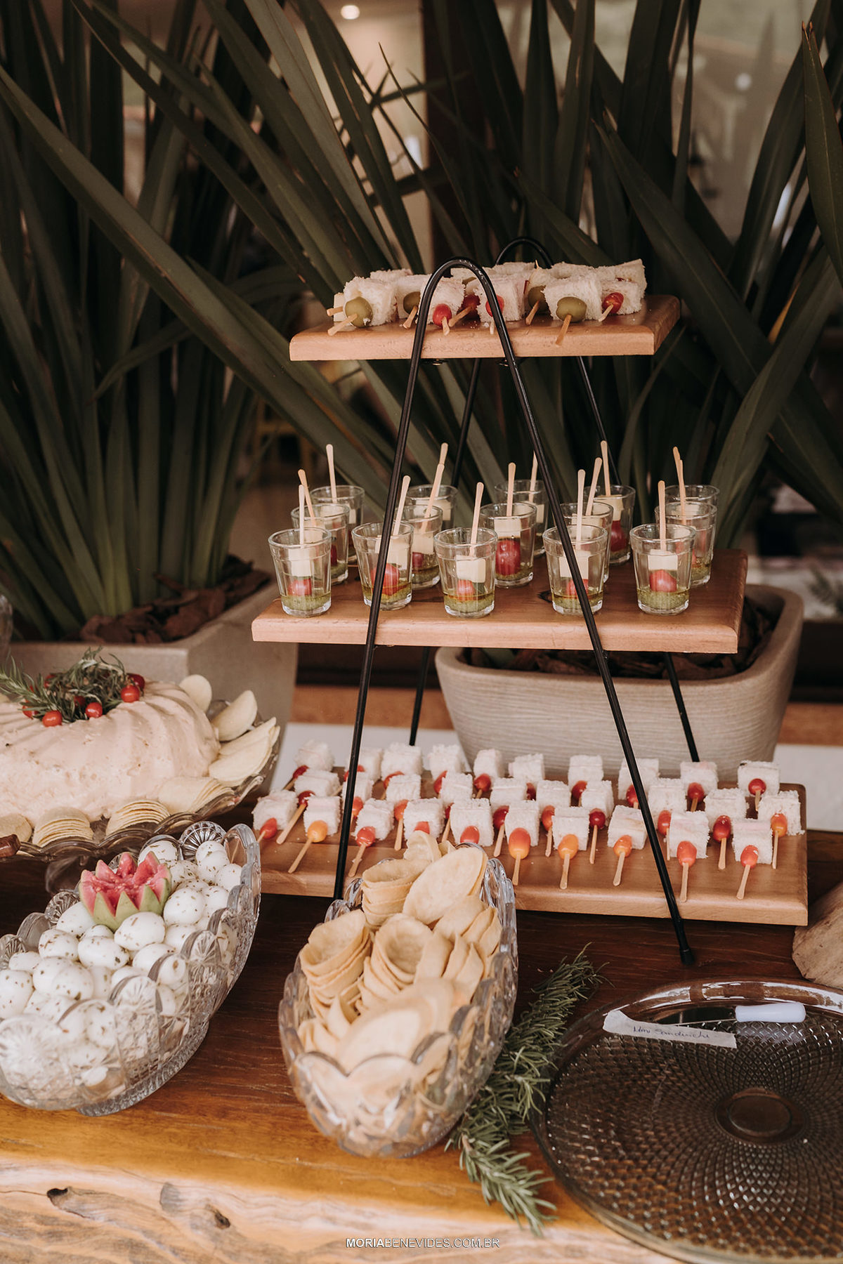 Fotografia de Casamento São-Domingos do Prata Minas Gerais