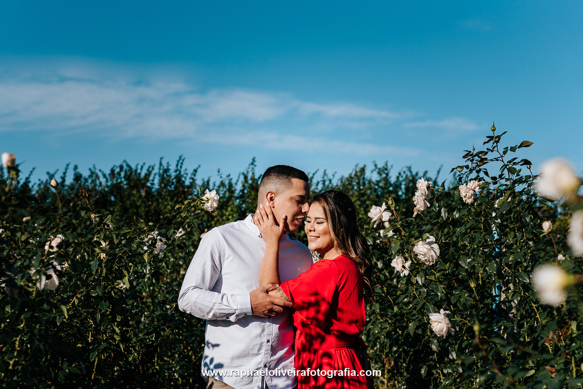 Ensaio Pre-Casamento, Ensaio de casamento, fotografo de casamento, ensaio de casamento em holambra, pre-wedding holambra, ensaio, raphael oliveira fotografia, pre-casamento, pre-wedding, melhor fotografo de sp, ensaio com flores