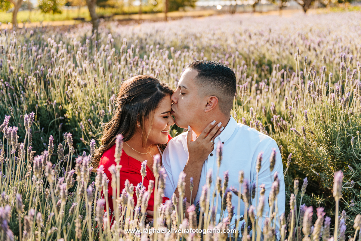 Ensaio Pre-Casamento, Ensaio de casamento, fotografo de casamento, ensaio de casamento em holambra, pre-wedding holambra, ensaio, raphael oliveira fotografia, pre-casamento, pre-wedding, melhor fotografo de sp, ensaio com flores