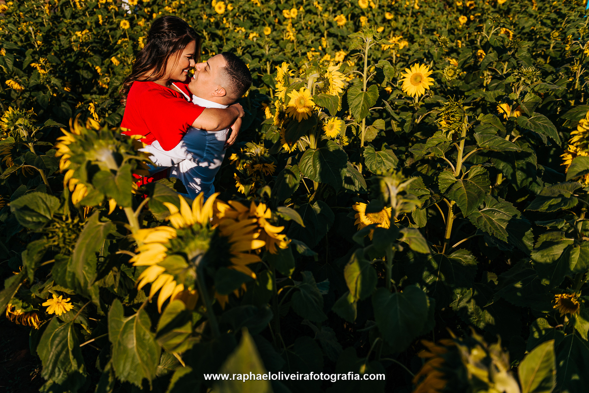 Ensaio Pre-Casamento, Ensaio de casamento, fotografo de casamento, ensaio de casamento em holambra, pre-wedding holambra, ensaio, raphael oliveira fotografia, pre-casamento, pre-wedding, melhor fotografo de sp, ensaio com flores