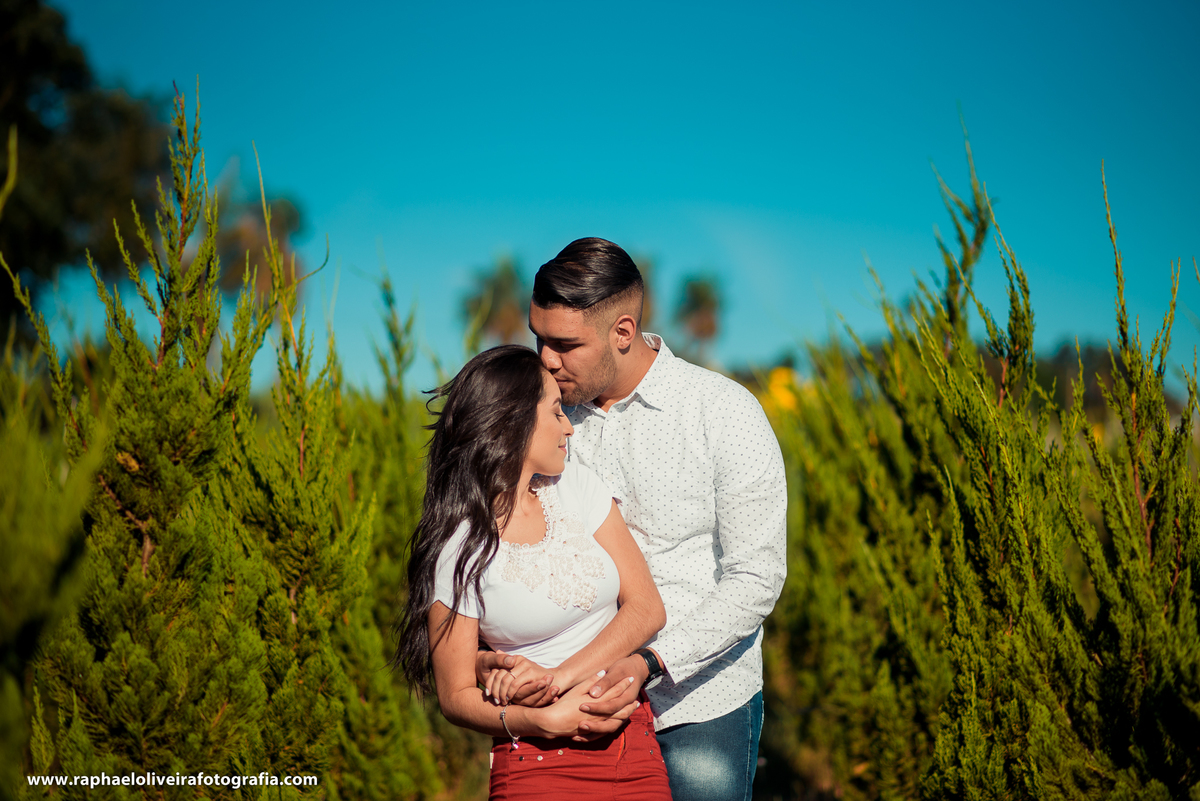 Ensaio pré casamento realizado em holambra no dia 20 de maio pelo fotografo Raphael Oliveira de Itapevi São Paulo.