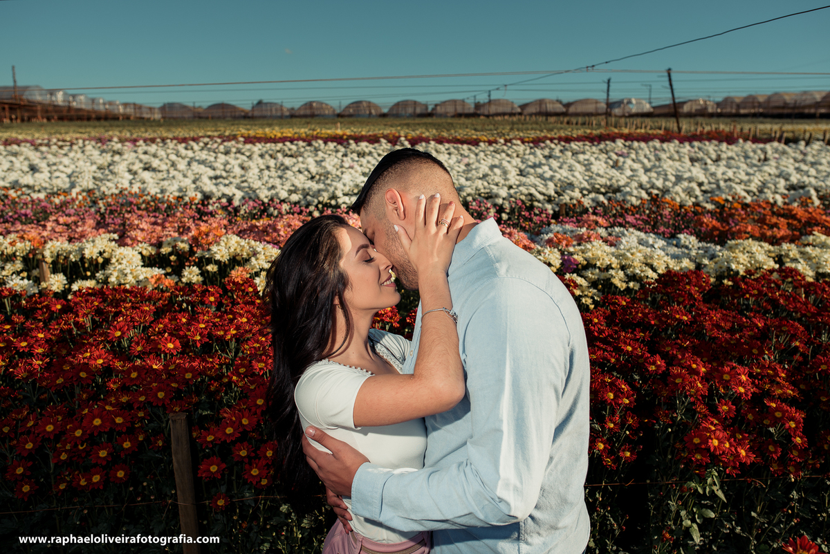 Ensaio pré casamento realizado em holambra no dia 20 de maio pelo fotografo Raphael Oliveira de Itapevi São Paulo.