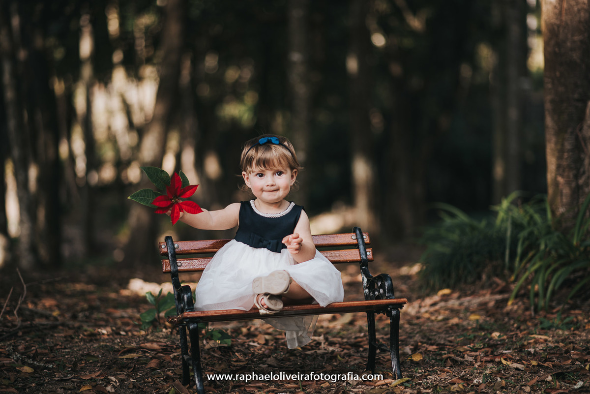 Ensiao infantil, primeiro aninho, festa de 1 ano, festa de criança, aniversário infantil, mamãe a primeira viagem, bebe a bordo, natureza, princesa, maternidade, familia, mamaes, newborn, gestação, obstetrícia, raphael oliveira fotografia