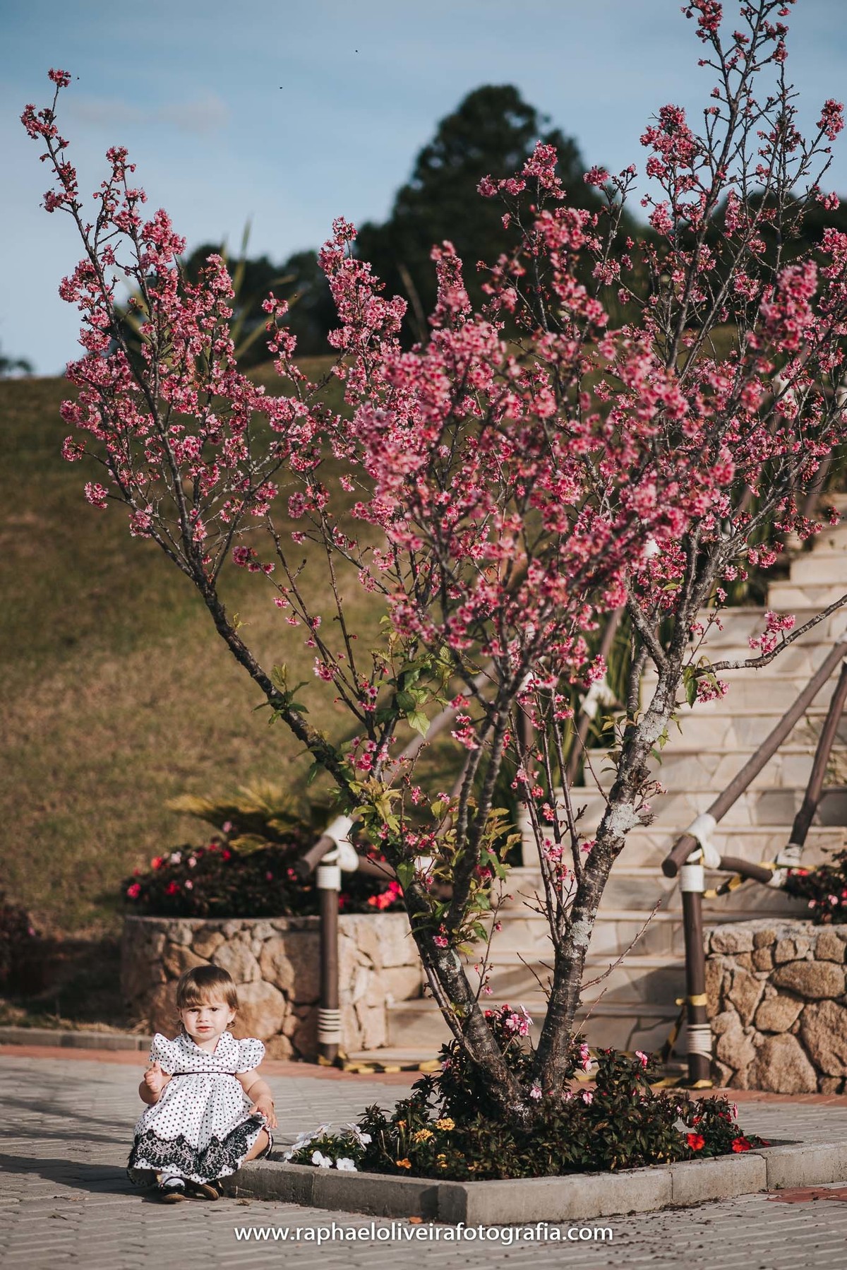 Ensiao infantil, primeiro aninho, festa de 1 ano, festa de criança, aniversário infantil, mamãe a primeira viagem, bebe a bordo, natureza, princesa, maternidade, familia, mamaes, newborn, gestação, obstetrícia, raphael oliveira fotografia