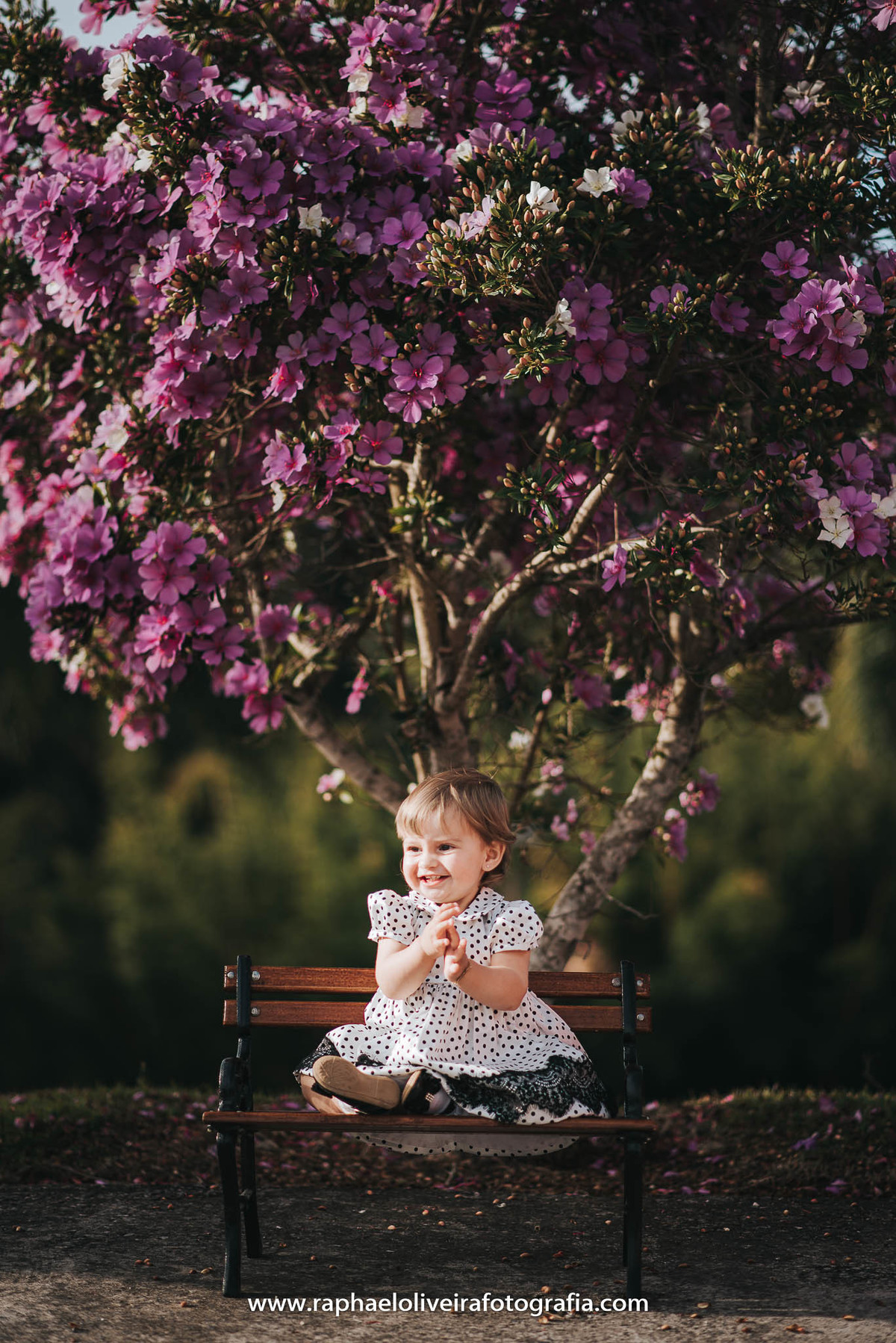 Ensiao infantil, primeiro aninho, festa de 1 ano, festa de criança, aniversário infantil, mamãe a primeira viagem, bebe a bordo, natureza, princesa, maternidade, familia, mamaes, newborn, gestação, obstetrícia, raphael oliveira fotografia