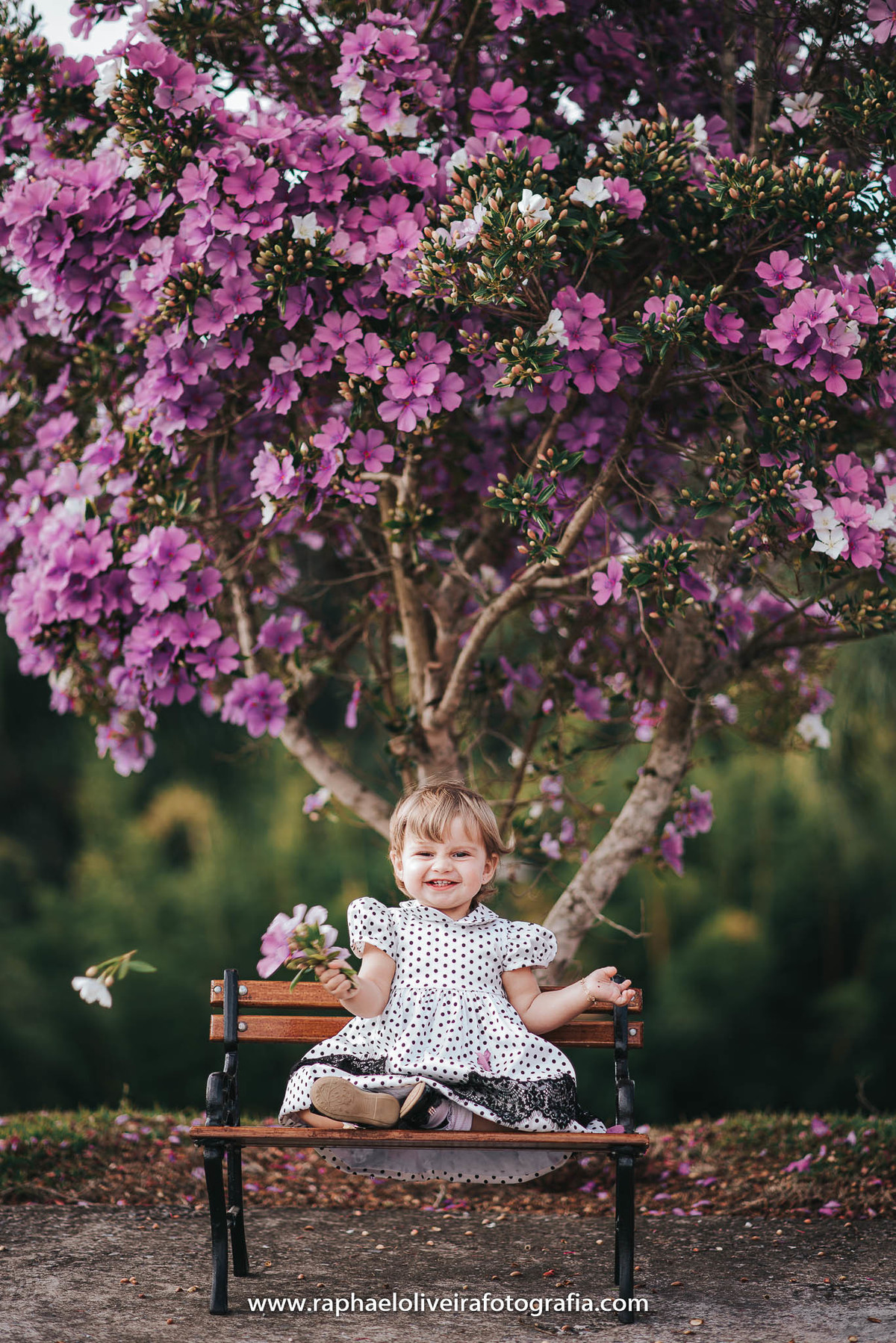 Ensiao infantil, primeiro aninho, festa de 1 ano, festa de criança, aniversário infantil, mamãe a primeira viagem, bebe a bordo, natureza, princesa, maternidade, familia, mamaes, newborn, gestação, obstetrícia, raphael oliveira fotografia