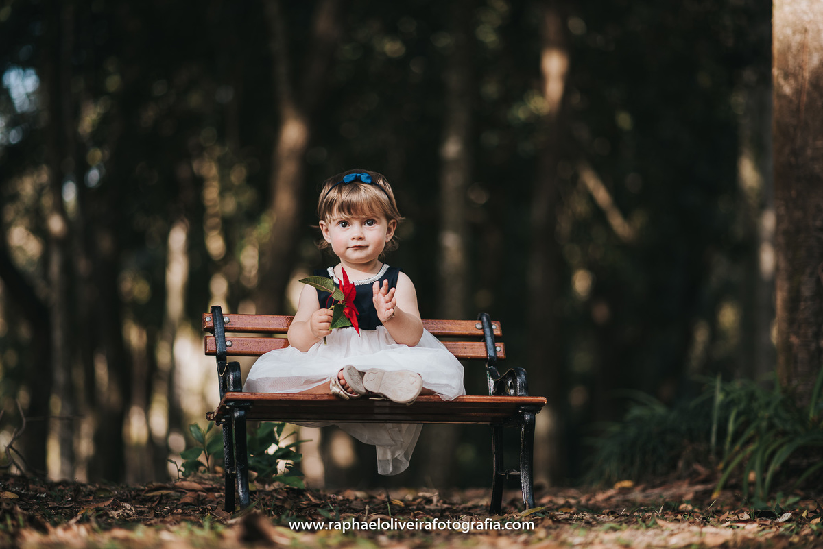 Ensiao infantil, primeiro aninho, festa de 1 ano, festa de criança, aniversário infantil, mamãe a primeira viagem, bebe a bordo, natureza, princesa, maternidade, familia, mamaes, newborn, gestação, obstetrícia, raphael oliveira fotografia