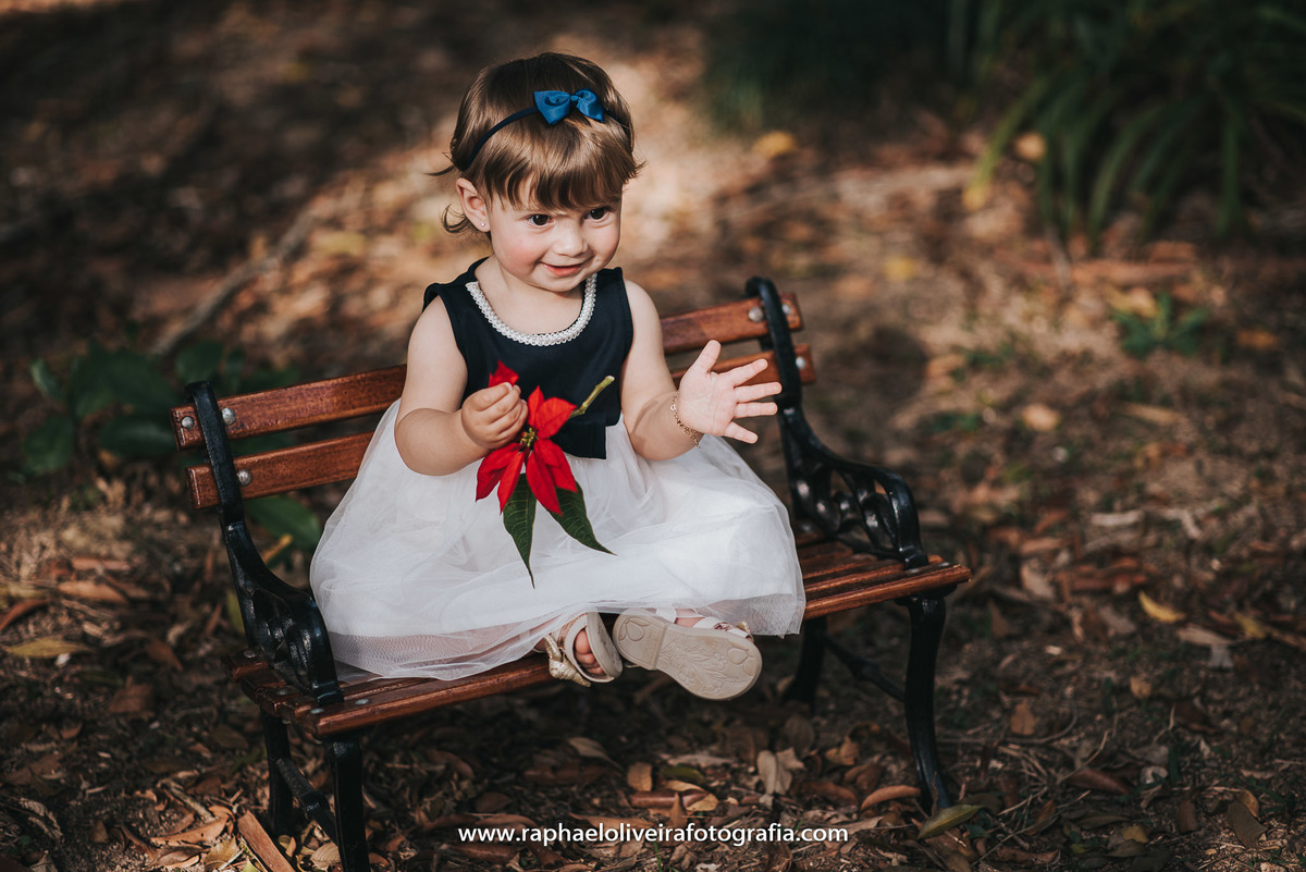 Ensiao infantil, primeiro aninho, festa de 1 ano, festa de criança, aniversário infantil, mamãe a primeira viagem, bebe a bordo, natureza, princesa, maternidade, familia, mamaes, newborn, gestação, obstetrícia, raphael oliveira fotografia