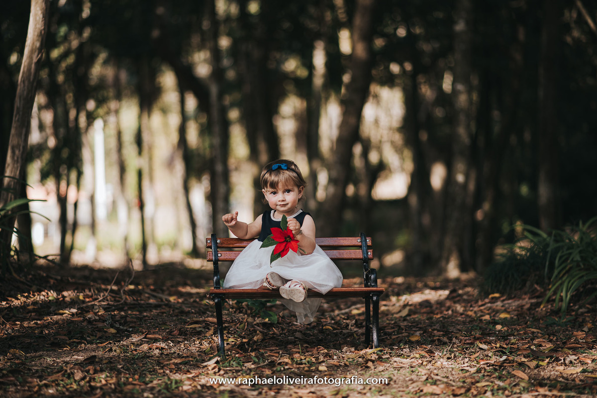 Ensiao infantil, primeiro aninho, festa de 1 ano, festa de criança, aniversário infantil, mamãe a primeira viagem, bebe a bordo, natureza, princesa, maternidade, familia, mamaes, newborn, gestação, obstetrícia, raphael oliveira fotografia