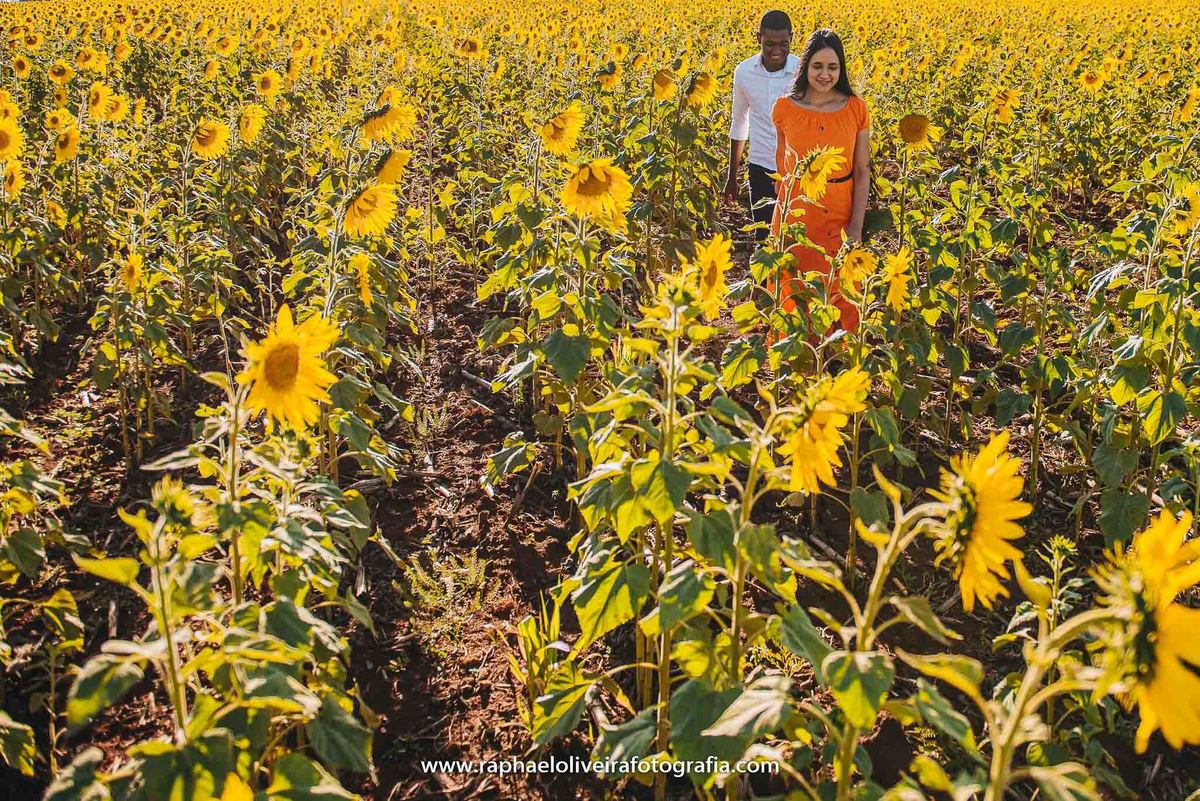 Ensaio pre casamento, holambra, fotografo de ensaio, ideias para ensaio, raphael oliveira fotografia, ensaio em holambra, fotografo de casamento, ideias de pose para pré casamento, flores, ensaio feminino, fotografo, cores, inspiração para pre casamento