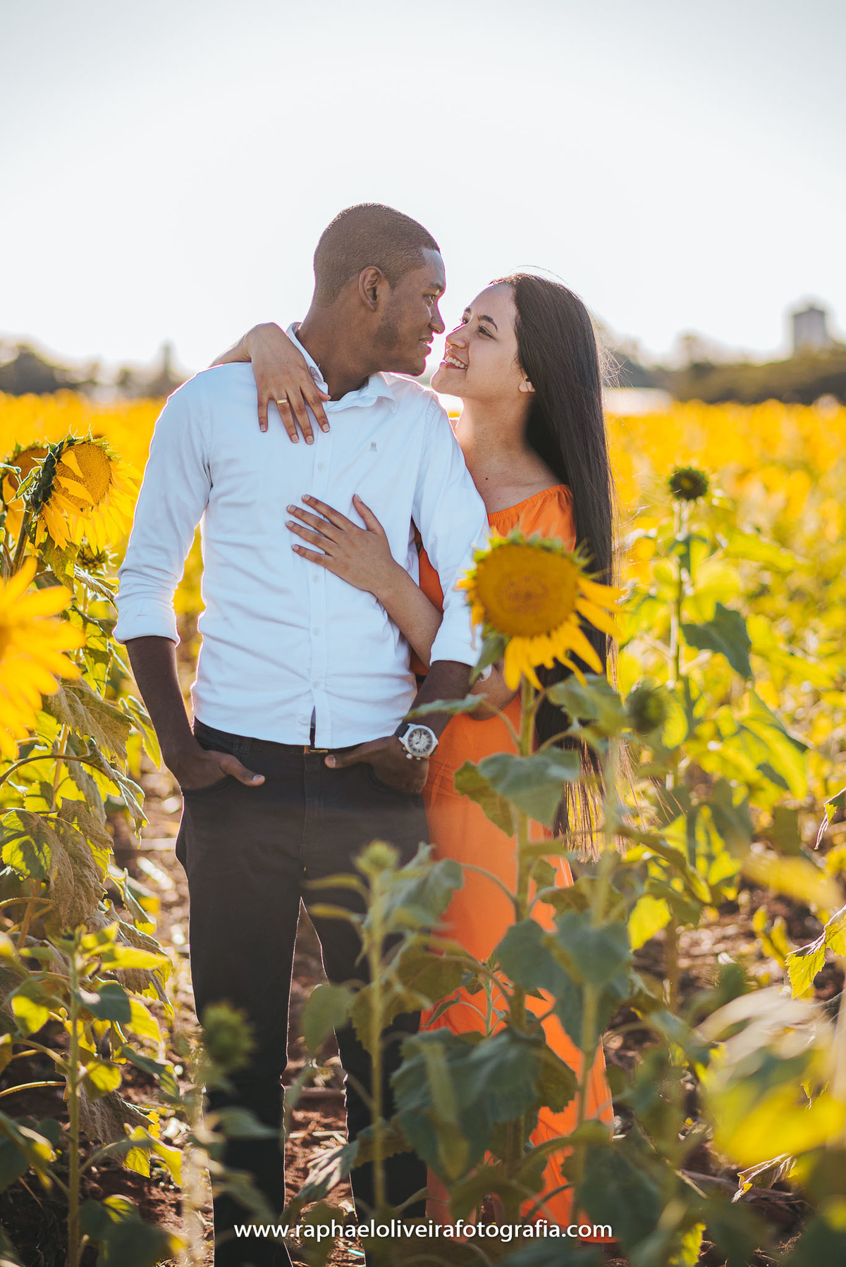 Ensaio pre casamento, holambra, fotografo de ensaio, ideias para ensaio, raphael oliveira fotografia, ensaio em holambra, fotografo de casamento, ideias de pose para pré casamento, flores, ensaio feminino, fotografo, cores, inspiração para pre casamento