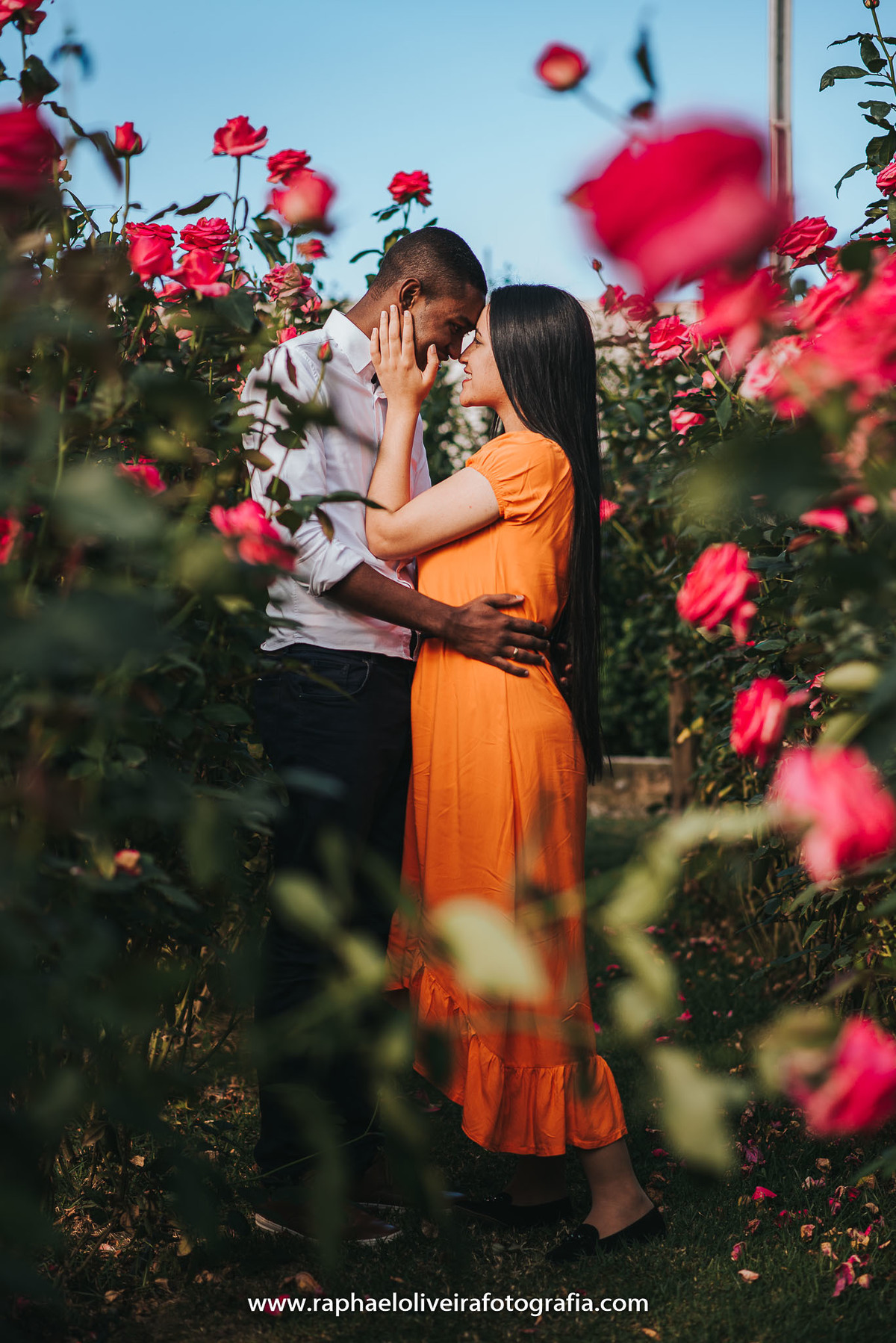 Ensaio pre casamento, holambra, fotografo de ensaio, ideias para ensaio, raphael oliveira fotografia, ensaio em holambra, fotografo de casamento, ideias de pose para pré casamento, flores, ensaio feminino, fotografo, cores, inspiração para pre casamento