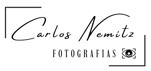 Logotipo de Carlos Nemitz 