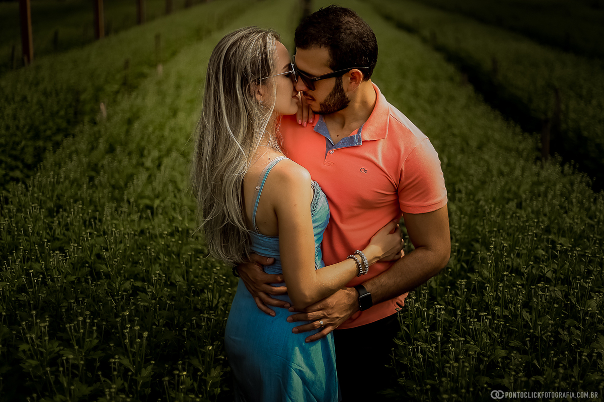 casal se beijando no meio da plantação de flores em holambra