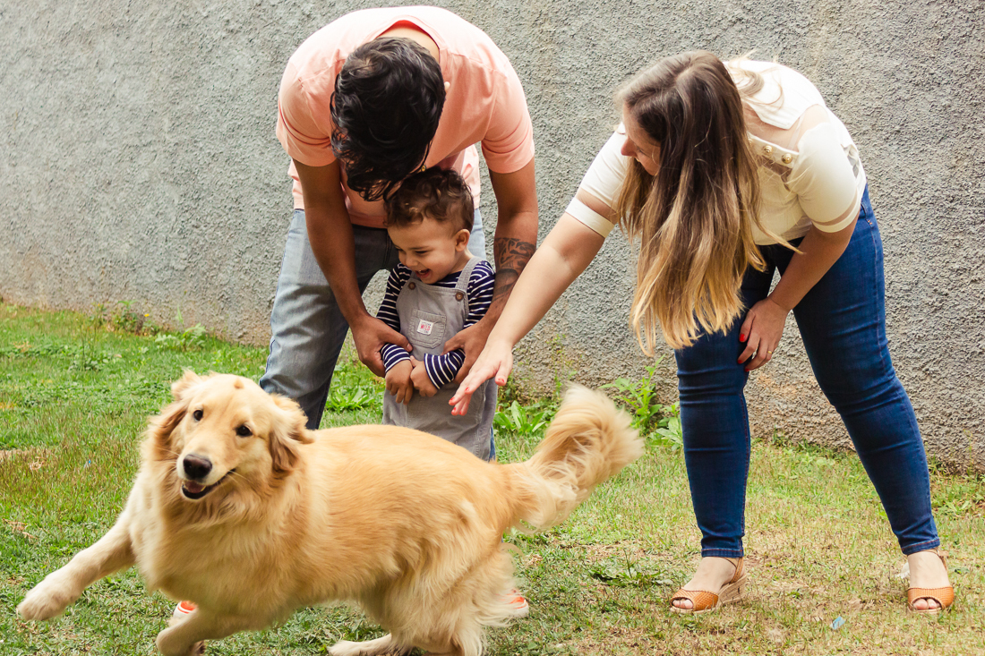 Foto de pais brincando com filho e com cachorro no quintal de casa no ensaio de família na cidade de São Paulo