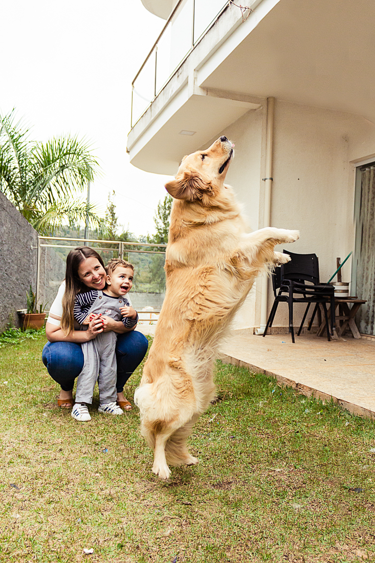 Foto de pais brincando com filho e com cachorro no quintal de casa no ensaio de família na cidade de São Paulo