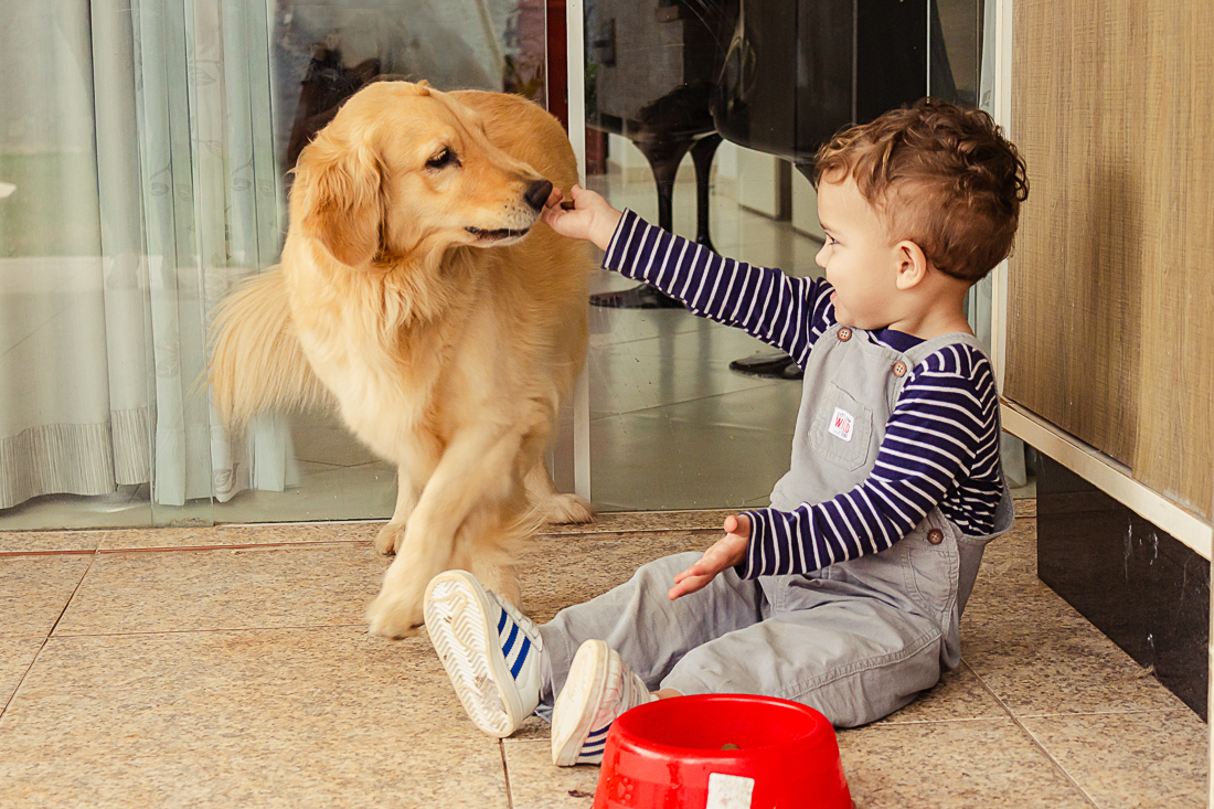 Foto de criança e dando ração para o cachorro no quintal de casa na cidade de São Paulo.