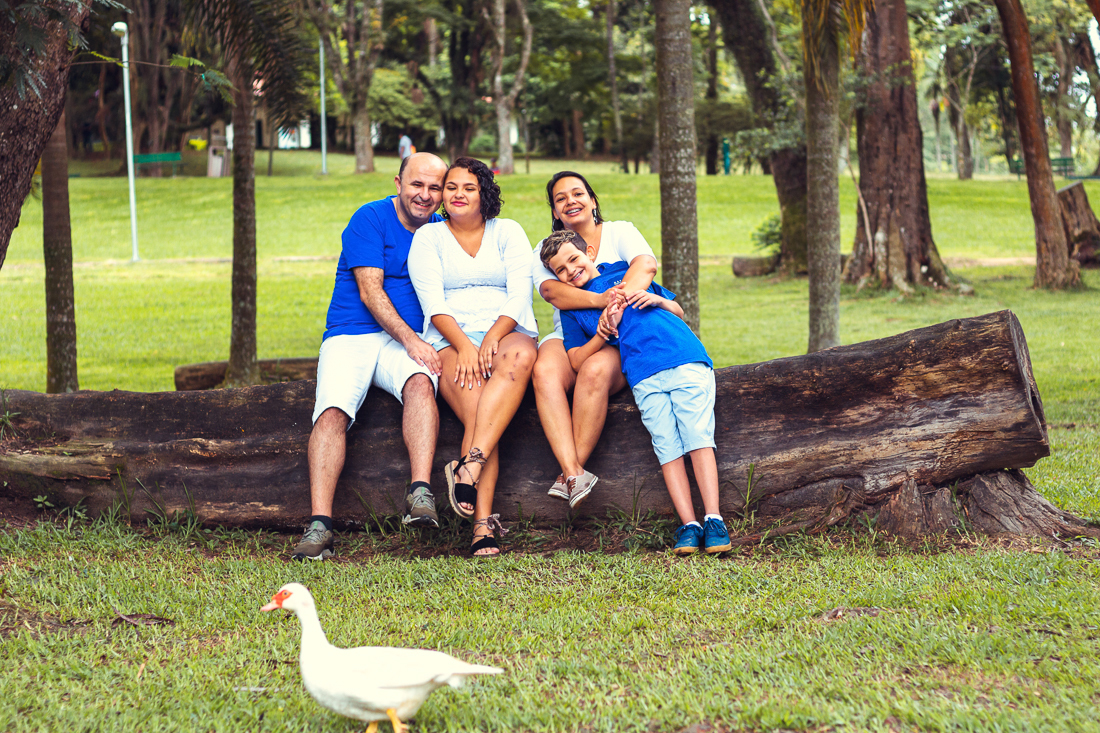 Foto de pais e filhos juntos sentados no tronco da árvore se abraçando de mãos dadas no ensaio externo lifestyle no parque do Carmo em São Paulo com um pato na frente da foto.