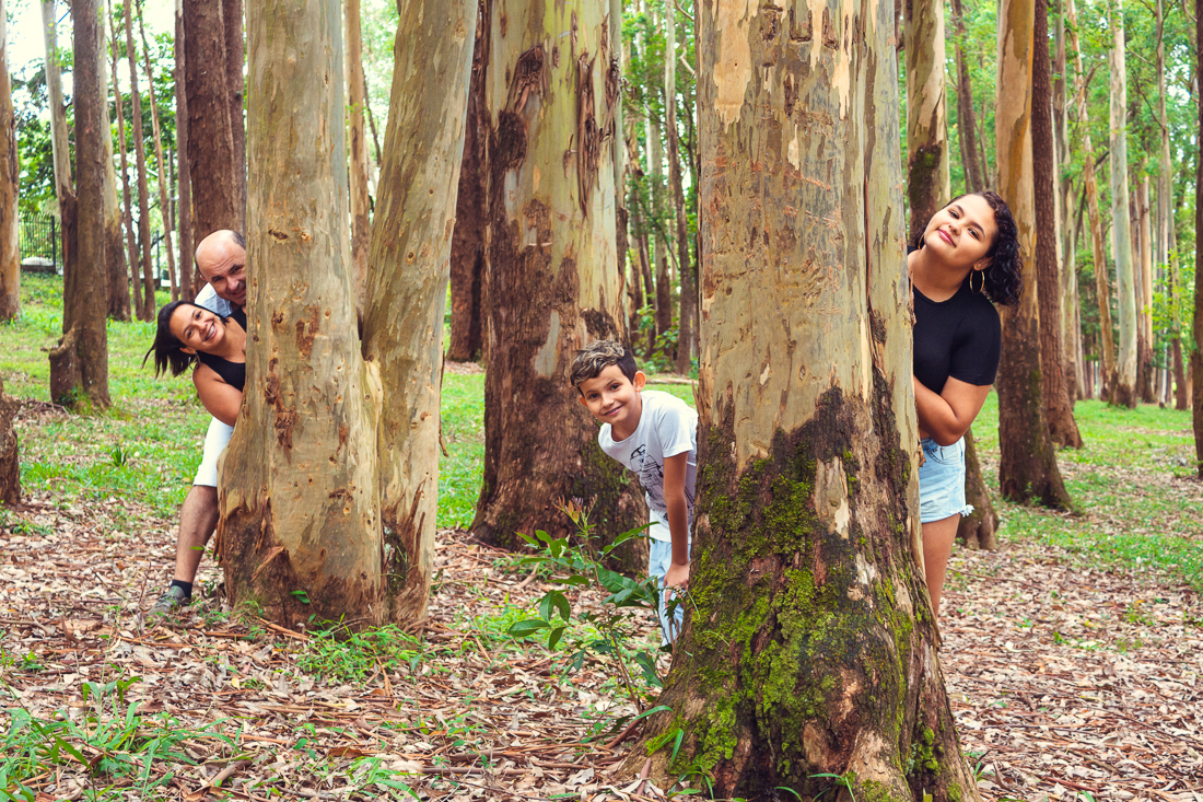 Foto de pai, mãe e filhos brincando atrás das arvores no ensaio lifestyle externo realizado no Parque do Carmo na Zona Leste de São Paulo.