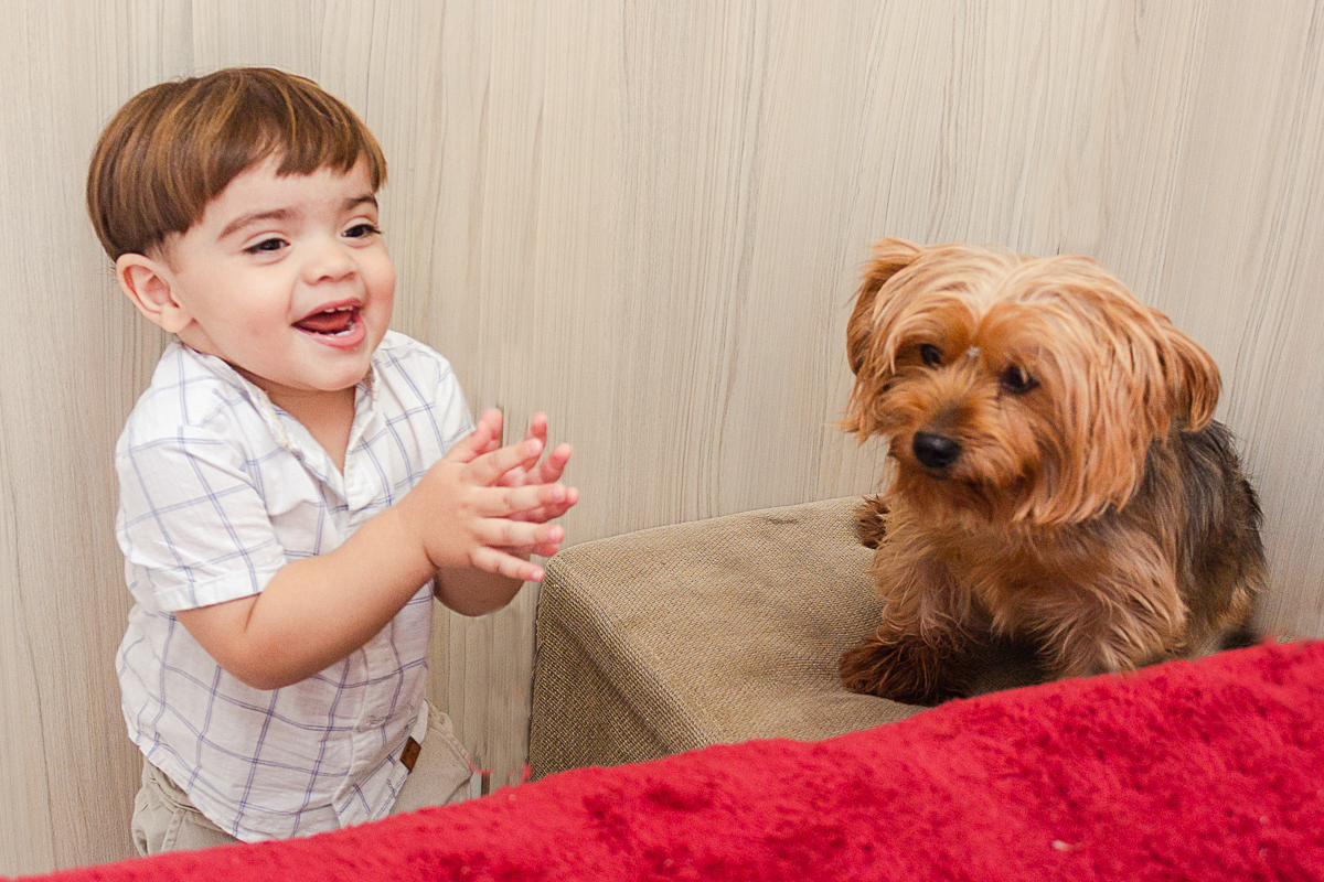 foto de criança com cachorro no quarto no ensaio infantil em Franco da Rocha na cidade de São Paulo
