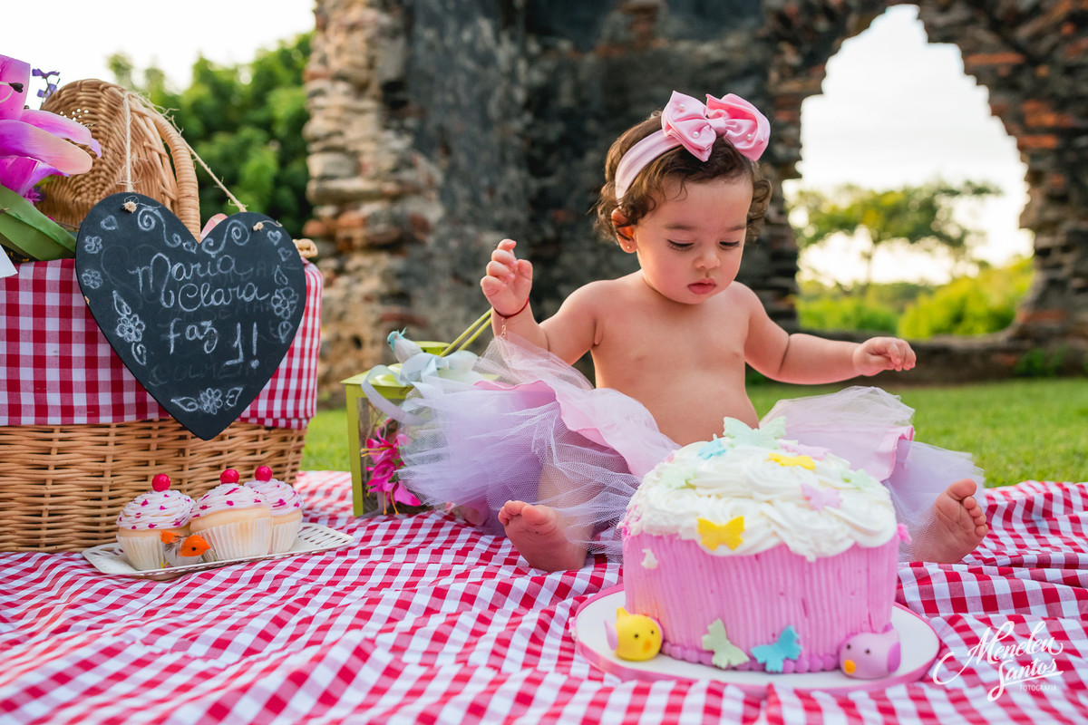 Smash the cake no engenhoca park com fotografia infantil por meneleu santos