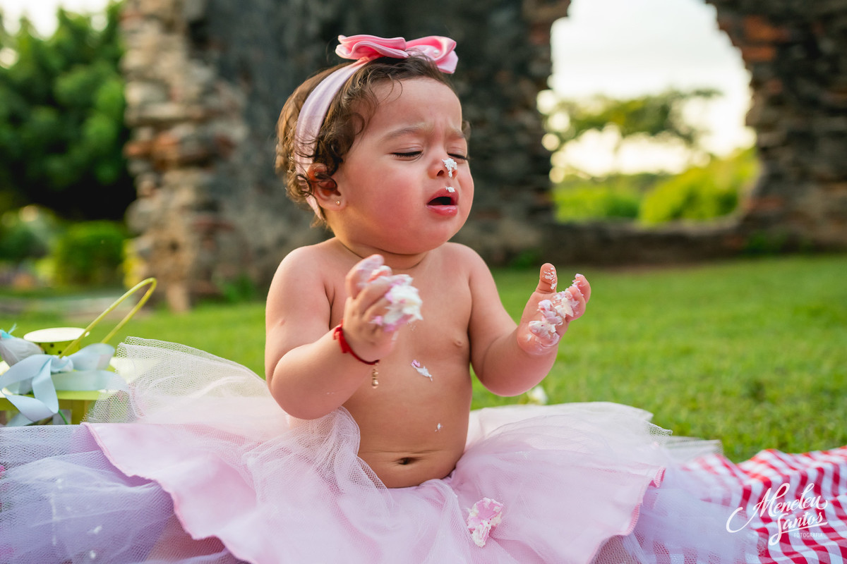 Smash the cake no engenhoca park com fotografia infantil por meneleu santos