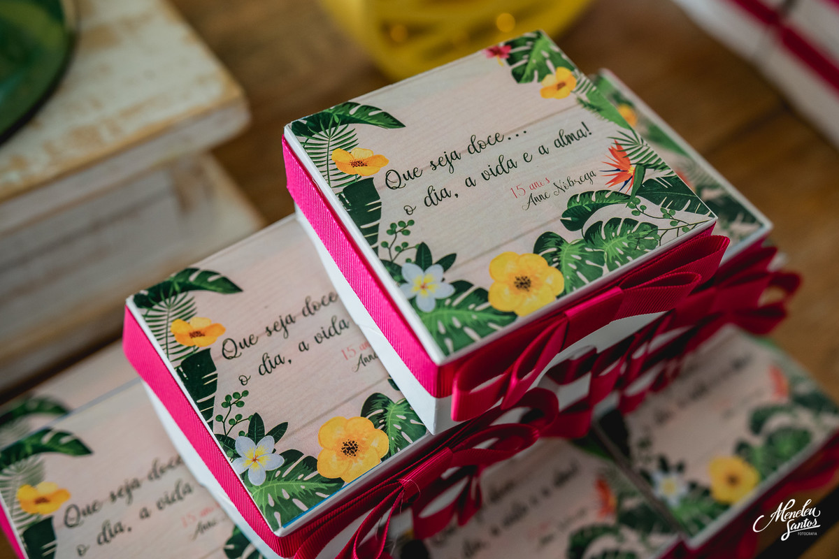 Aniversário de 15 anos com fotografo em fortaleza meneleu santos