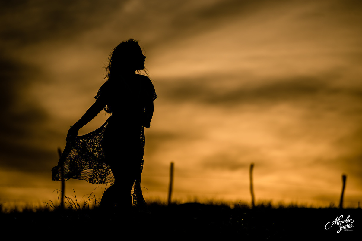 book 15 anos em fortaleza com meneleu santos