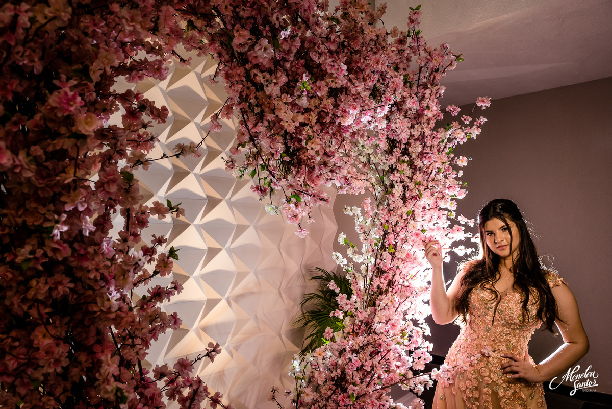 Aniversário de 15 anos no buffet Royal Gourmet em Fortaleza por Fotógrafo  de debutantes  meneleu santos