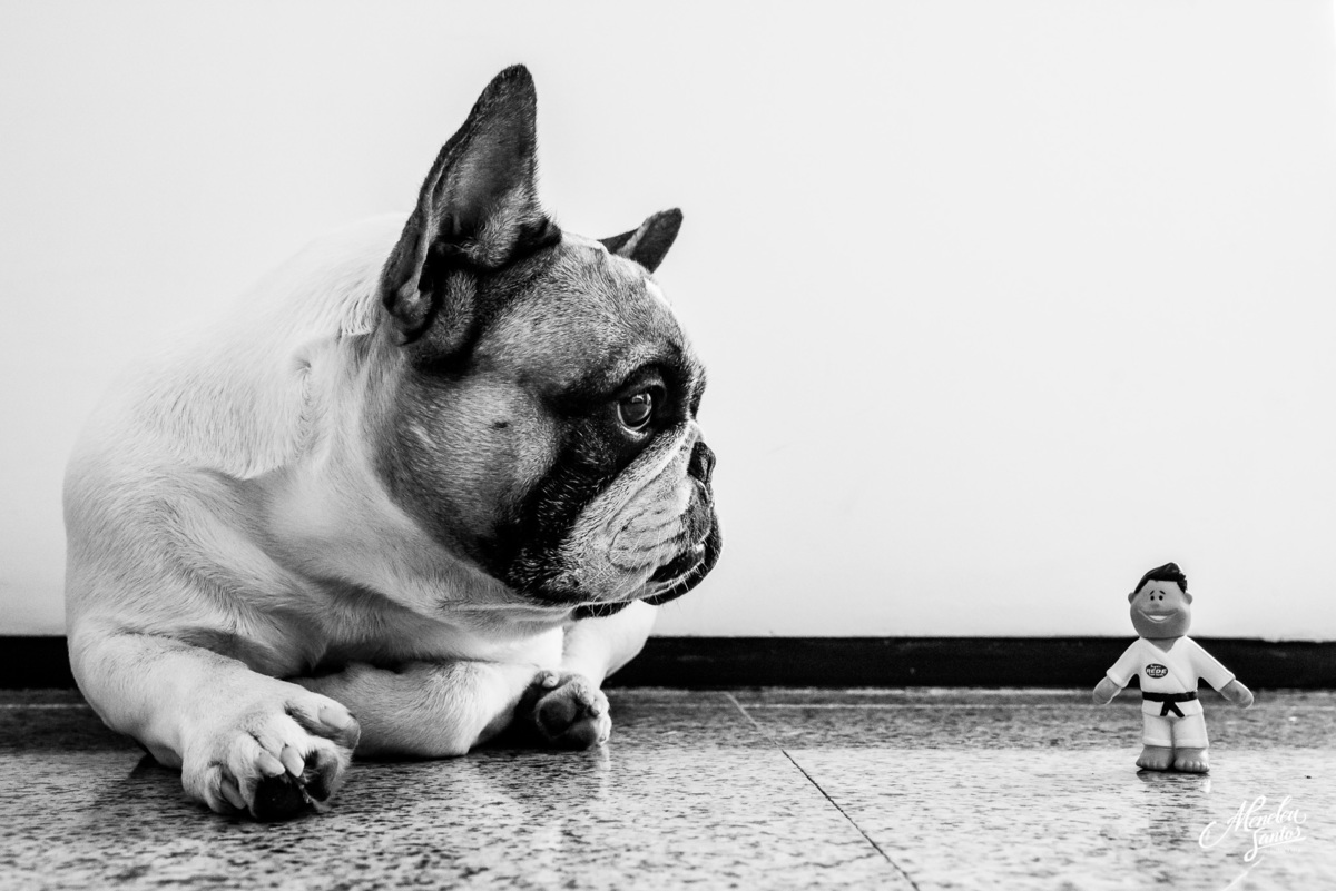 Ensaio geek de casal no apê com fotografo em fortaleza meneleu santos