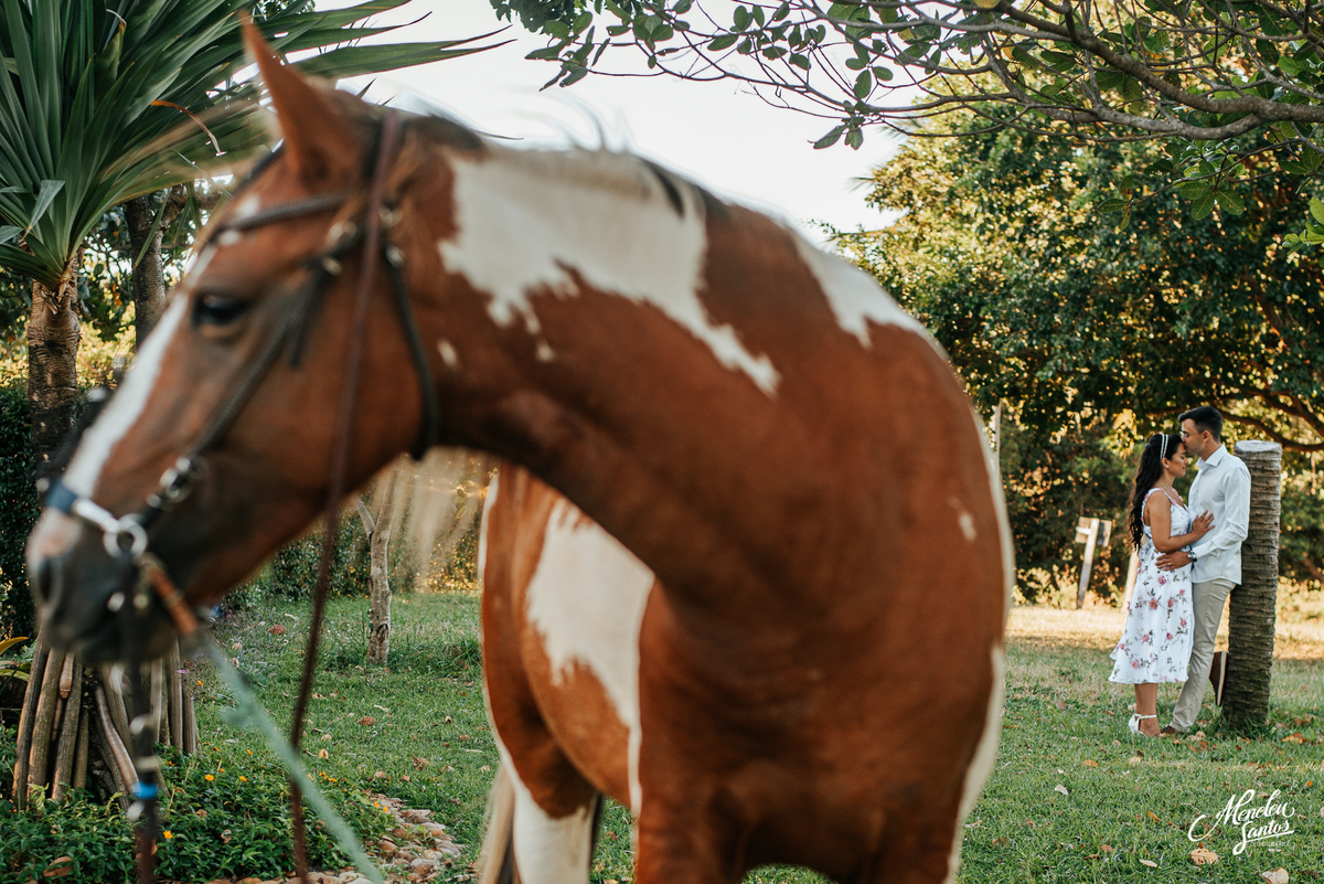 Ensaio em fazenda com cavalos 