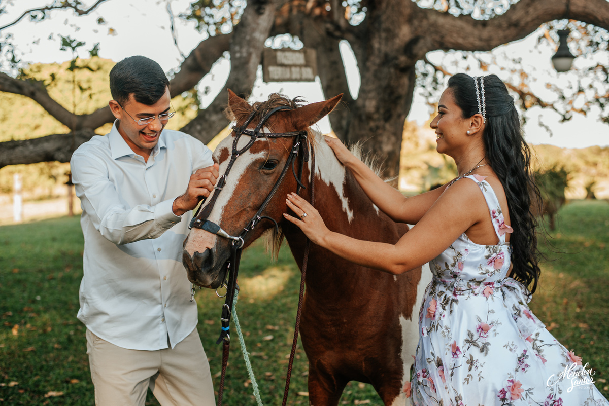 Ensaio em fazenda com cavalos 