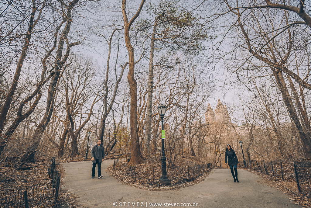 ensaio noiva central park