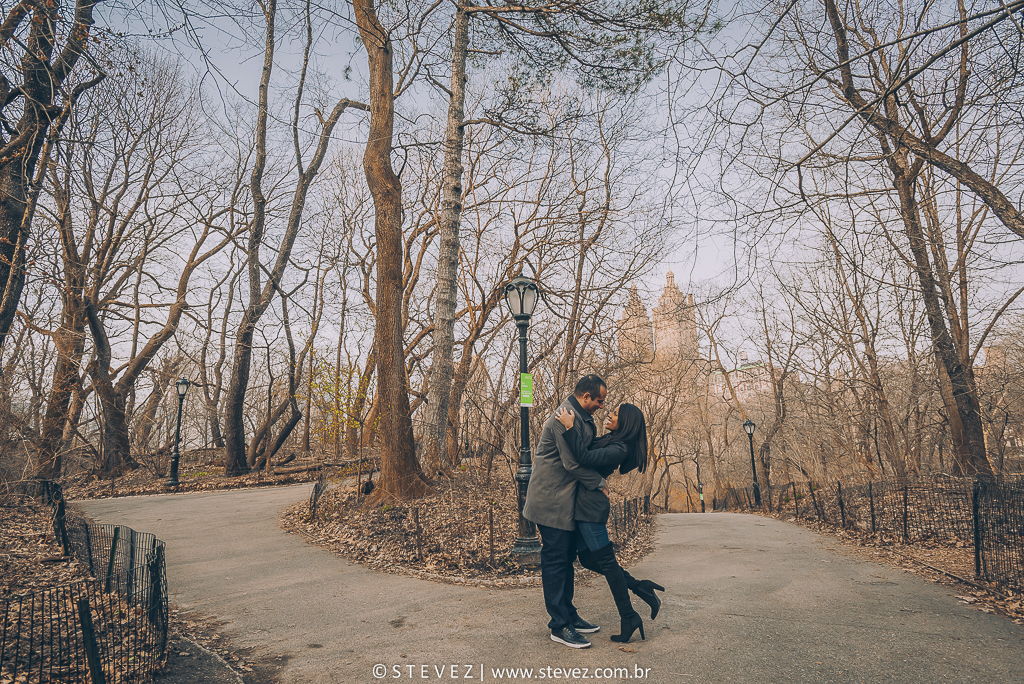 ensaio noiva central park