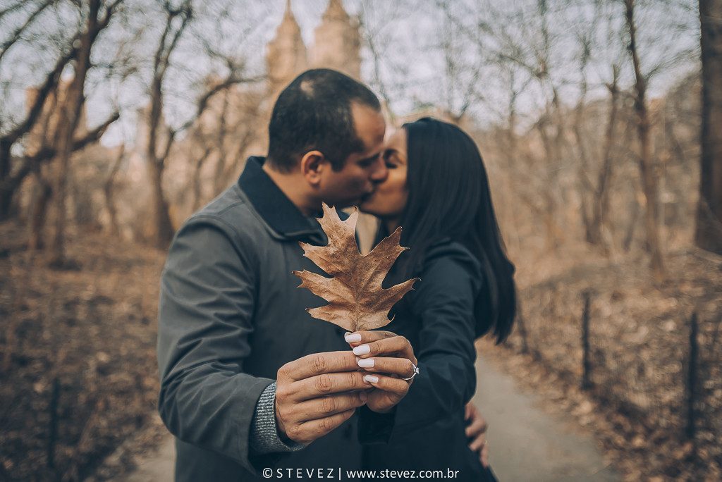 ensaio noiva central park