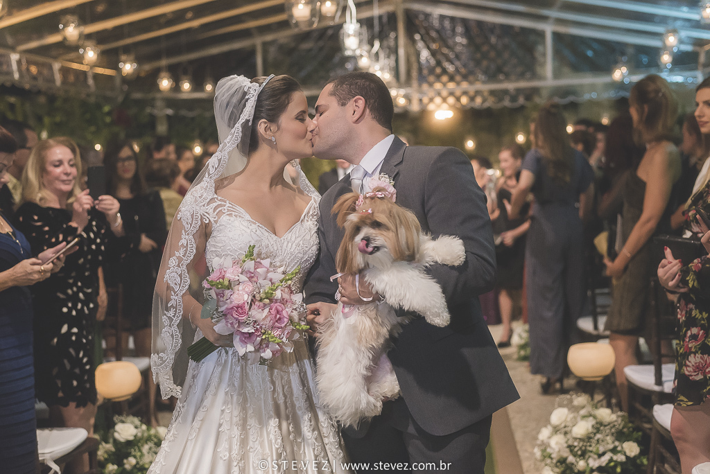 cachorro na cerimônia