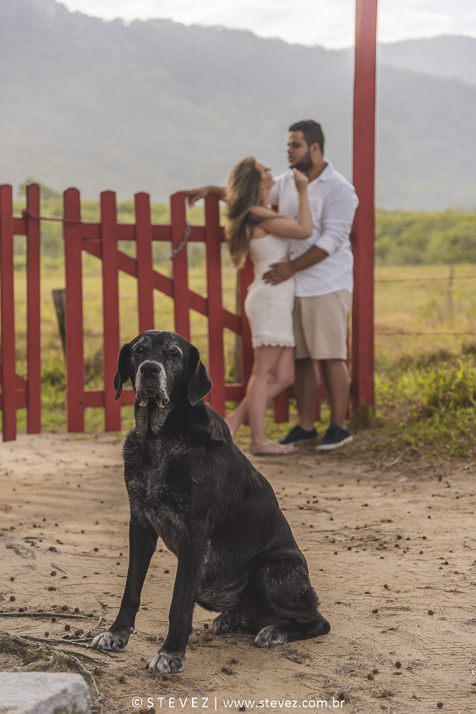 ensaio pre wedding em grumari