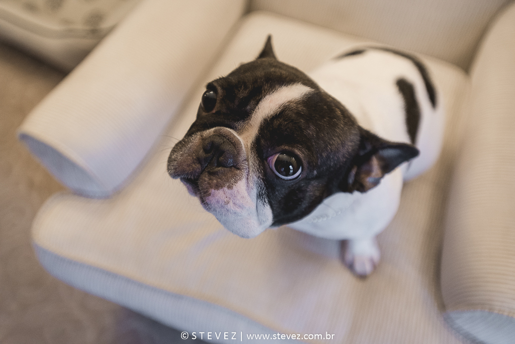 making of copacabana palace