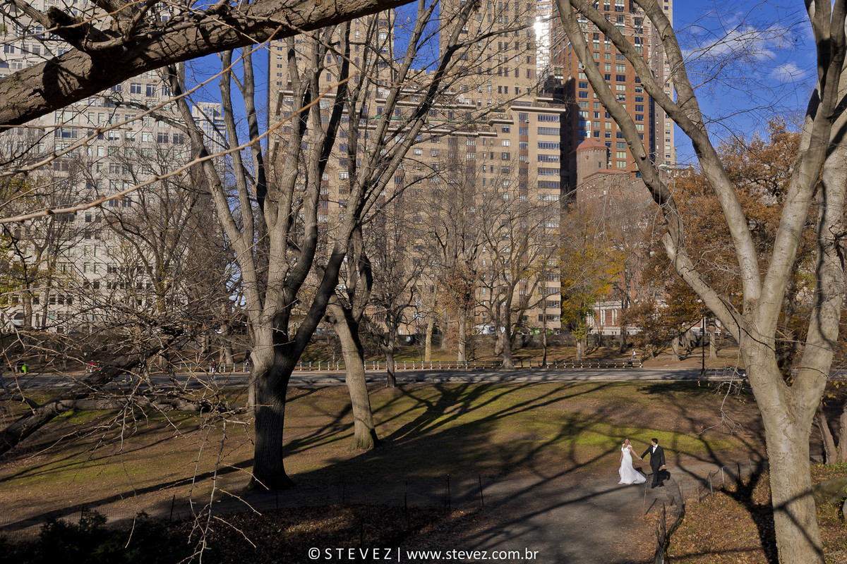 noiva central park ny