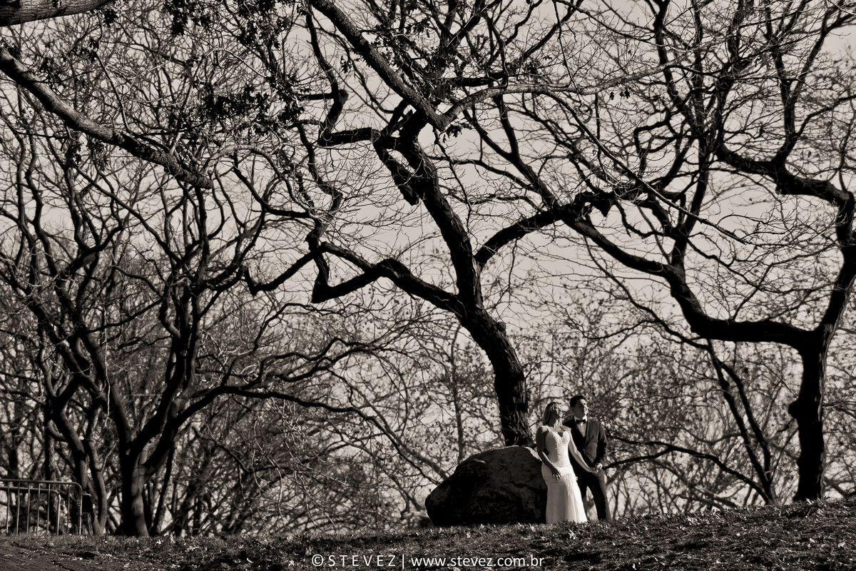 noiva central park ny