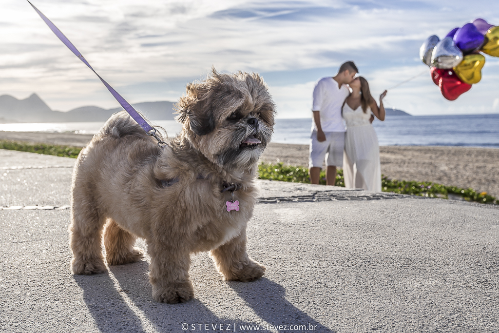 ensaio pre casamento com cachorro