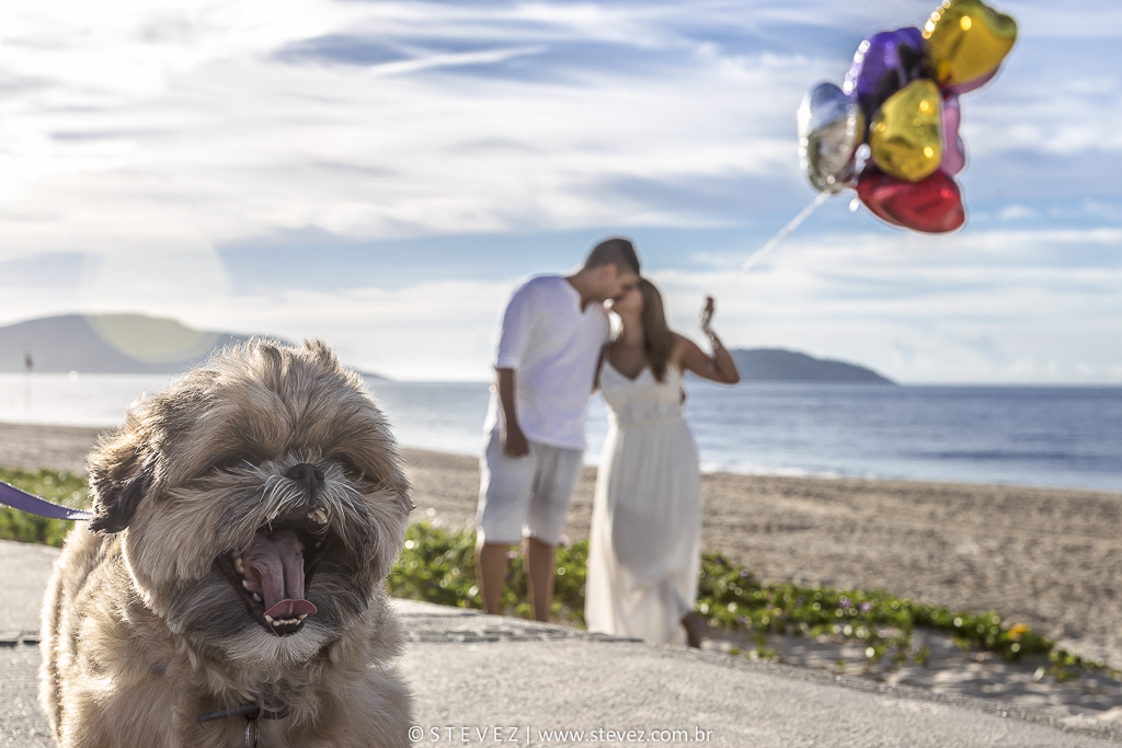 ensaio pre casamento com cachorro