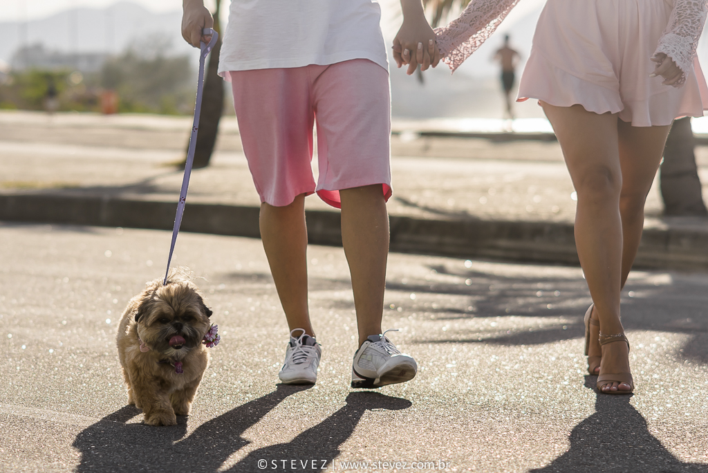 ensaio pre casamento com cachorro