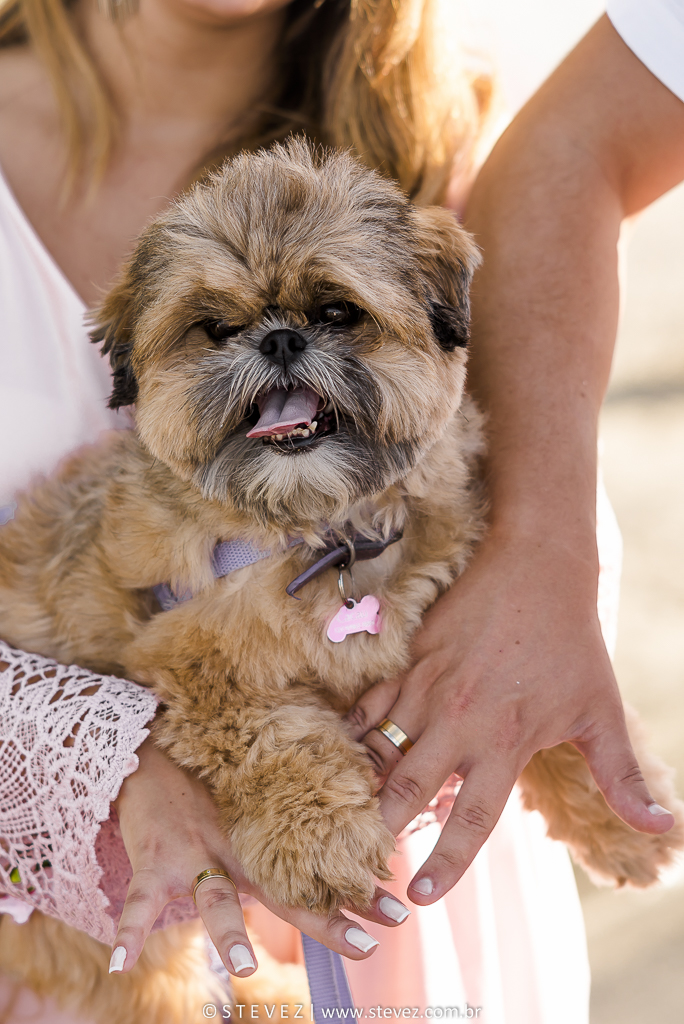 ensaio pre casamento com cachorro