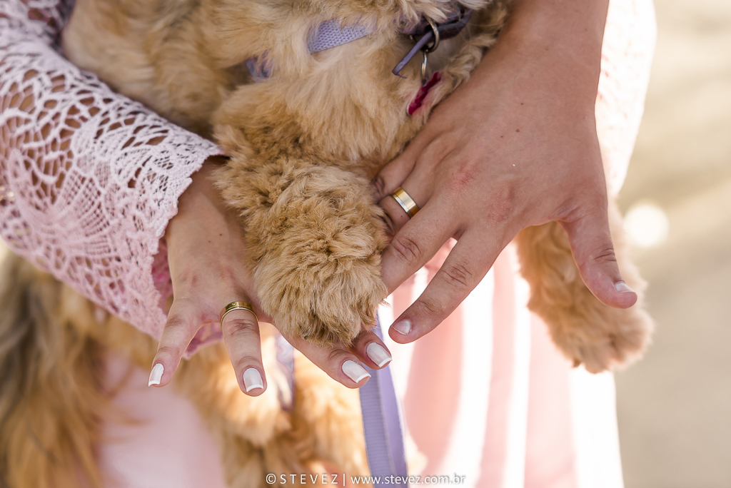 ensaio pre casamento com cachorro