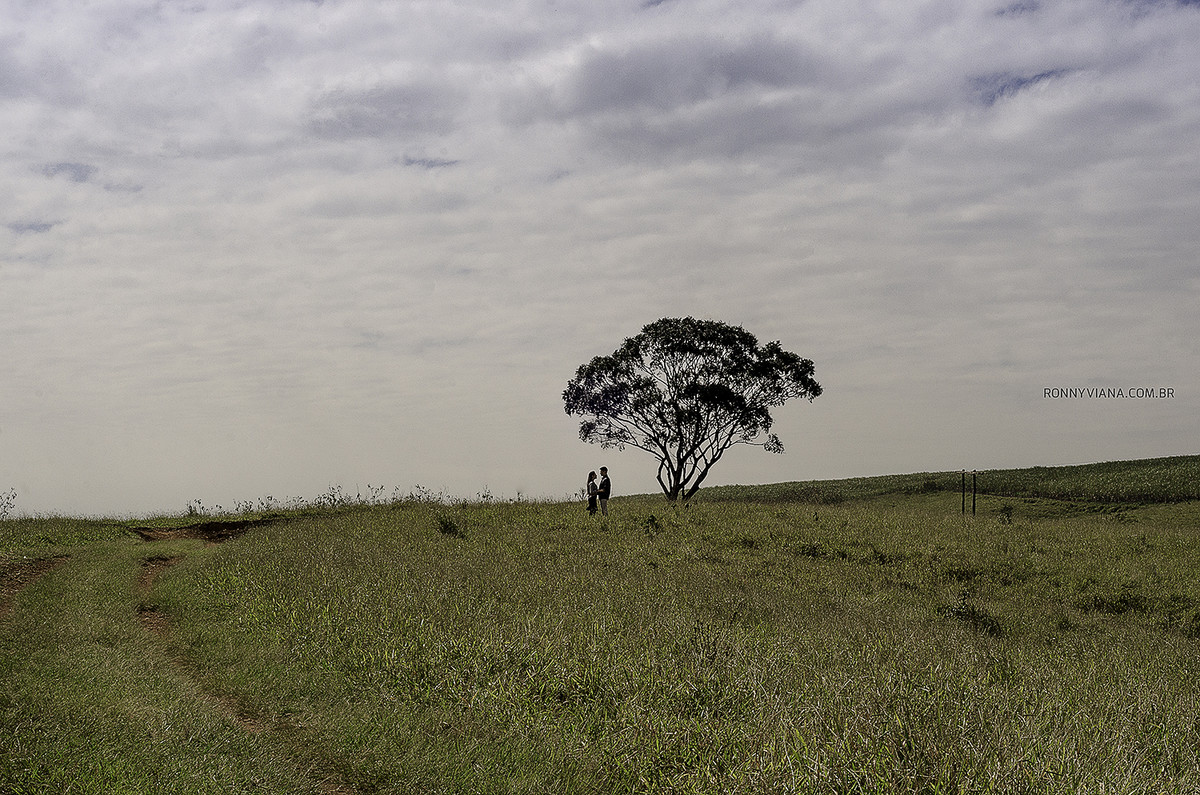 fotografo de casamento em piracicaba ronny viana book casal em sao pedro SP cruzeiro do facao vestido de noivas fica vai ter bolo limeira fazenda santa gertrudes rio claro wedding photographer