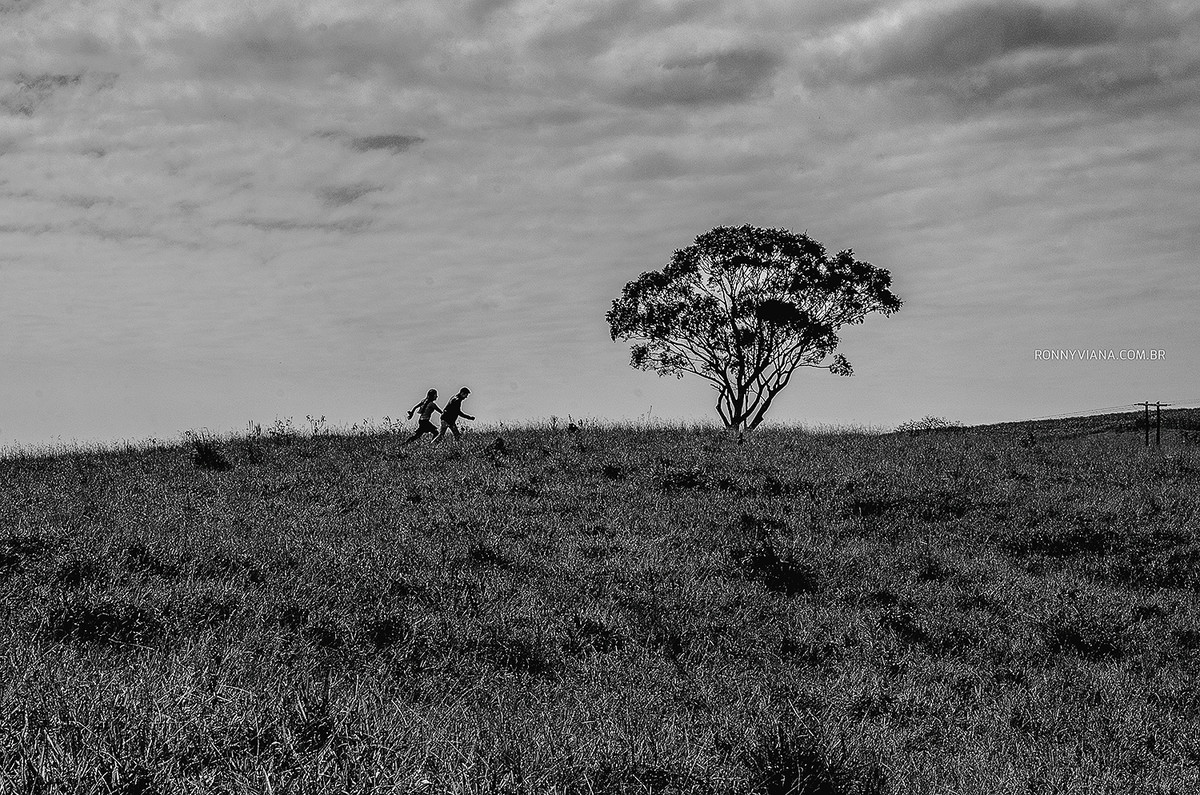 fotografo de casamento em piracicaba ronny viana book casal em sao pedro SP cruzeiro do facao vestido de noivas fica vai ter bolo limeira fazenda santa gertrudes rio claro wedding photographer