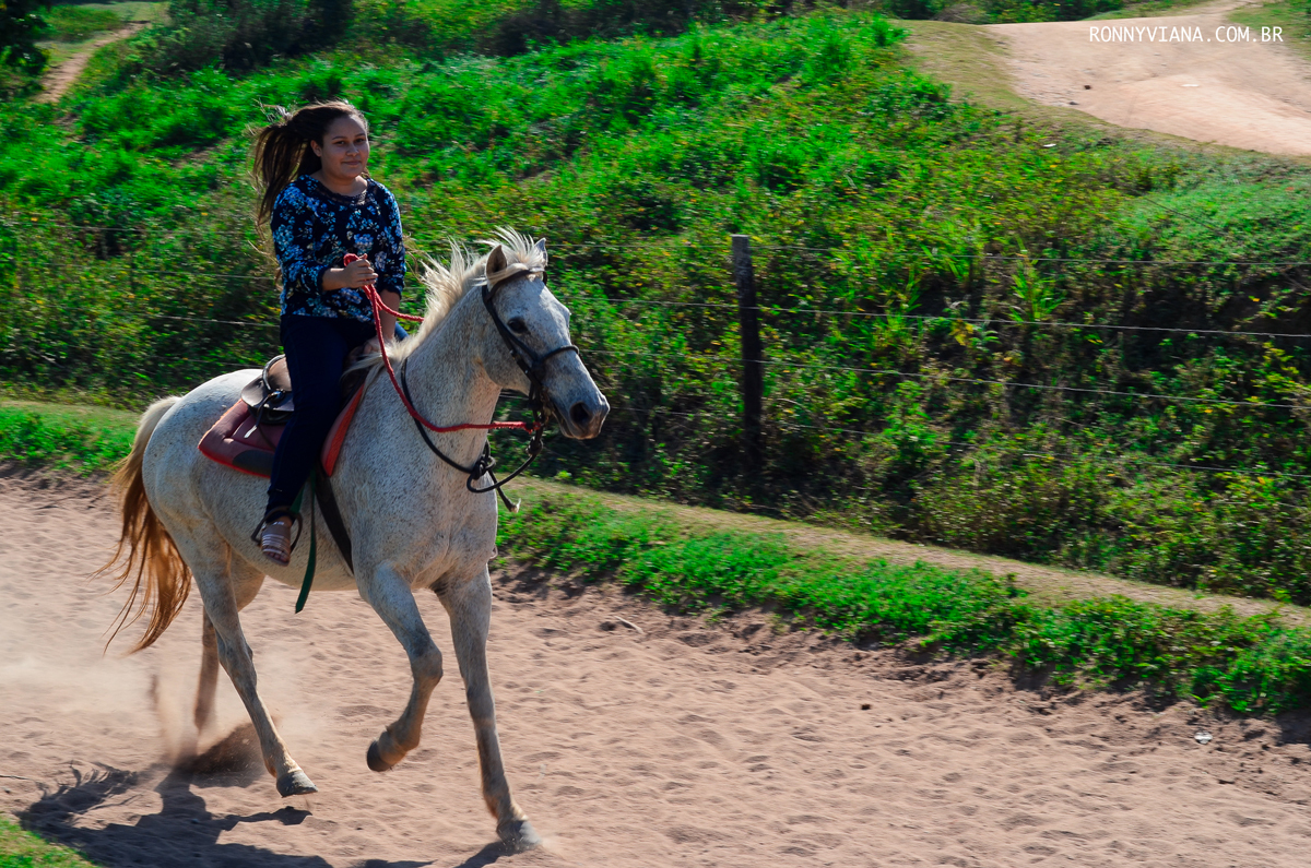 ensaio em itu em cima do cavalo galopando