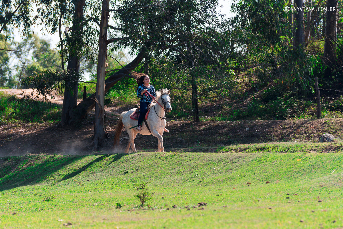 cavalo galopando na pista de polo 